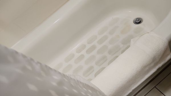 Holiday Inn Express & Suites Tampa -USF-Busch Gardens