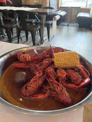 The Saucy Crab by null