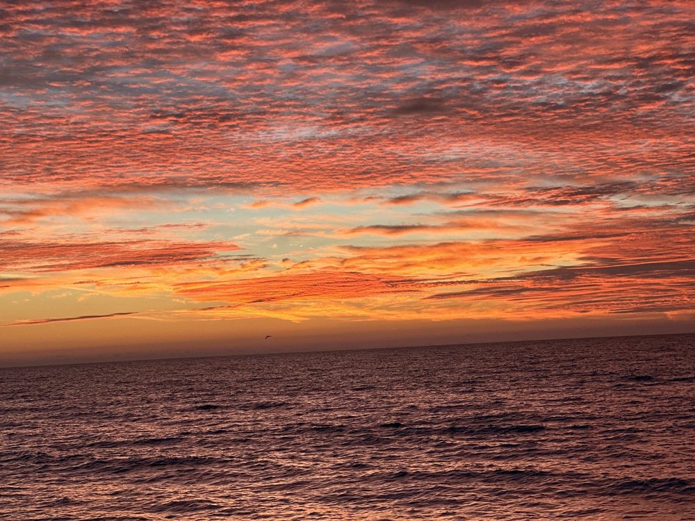 T H Stone Memorial St Joseph Peninsula State Park