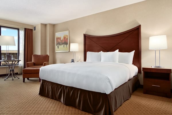DoubleTree by Hilton Washington Dulles Airport by null