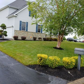 Scotty's Lawn Care Service - Fresh Trimming of bushes and Fresh Black Mulch. - Lawn Services Near Me Scotty's Lawn Care Service - Fresh Trimming of bushes and Fresh Black Mulch. - Lawn Services Near Me