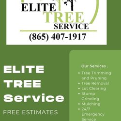 Elite Tree Service