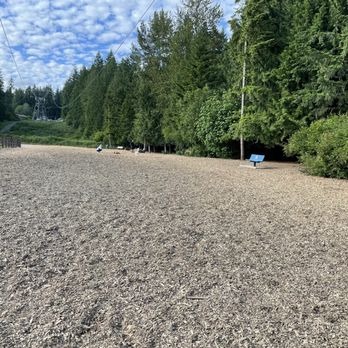 Beaver Lake Off Leash Park - Dog Parks Near Me - Sammamish, Washington Beaver Lake Off Leash Park - Dog Parks Near Me - Sammamish, Washington