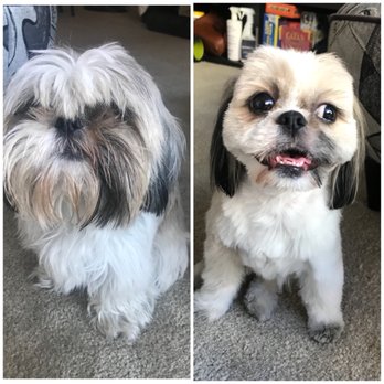 Furry Tales - Pet Stores Near Me