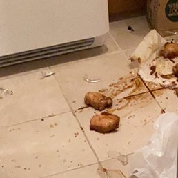 ows a dirty kitchen floor ows a dirty kitchen floor