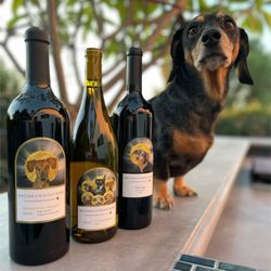 Nectar Of The Dogs Wine - We love Dachshunds!