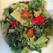 Photo of Plantae - Tivoli, NY, United States