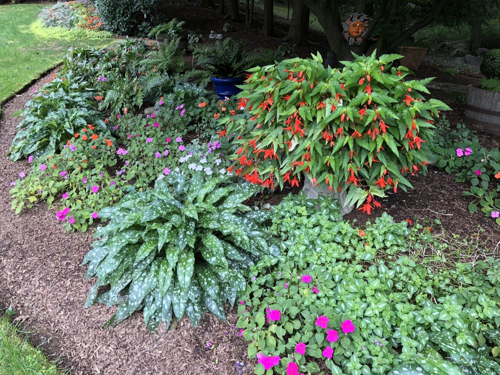 Alive & Growing - tree service in Danbury, CT