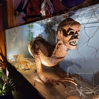 Shipwrecked Tiki Bar - a skeleton in a fish tank - Tiki Bars Near Me - Davis, California Shipwrecked Tiki Bar - a skeleton in a fish tank - Tiki Bars Near Me - Davis, California