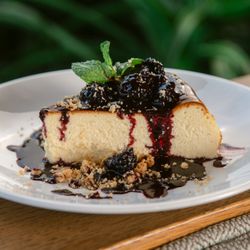 Harvest - Basque Cheesecake
Blackberry jam, brown sugar streusel