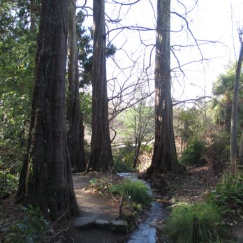 UC Botanical Garden at Berkeley - Botanical Gardens Near Me - Berkeley, California