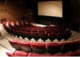Irish Film Institute by null
