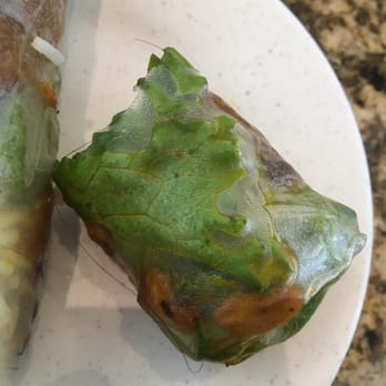 Pho Dan - Hair in spring rolls! Disgusting !!! - Vietnamese Near Me - Austin, Texas Pho Dan - Hair in spring rolls! Disgusting !!! - Vietnamese Near Me - Austin, Texas