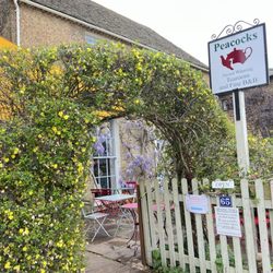 Peacocks Tearoom