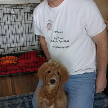 K9 Kenny - Training Franklin - one of my favorite puppies! - Pet Training Near Me - Austin, Texas K9 Kenny - Training Franklin - one of my favorite puppies! - Pet Training Near Me - Austin, Texas