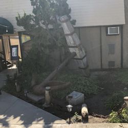 Sequoia Yacht Club