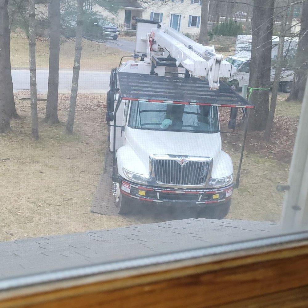 SDS Tree and Stump Removal - Cherry picker truck - Tree Services Near Me SDS Tree and Stump Removal - Cherry picker truck - Tree Services Near Me