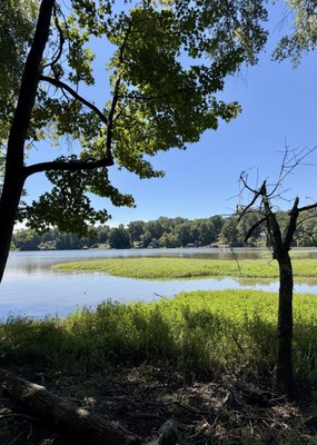 Daniel Stowe Conservancy by null