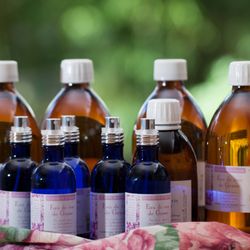 Douceur Canine - Eaux florales production française à Grasse