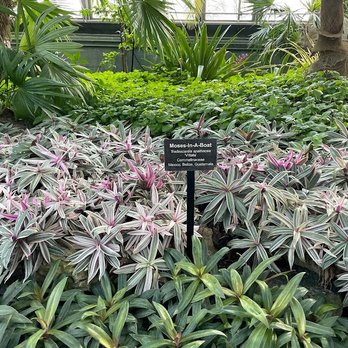 Garfield Park Conservatory - Parks Near Me - Chicago, Illinois