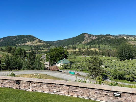 Silvara Cellars by null