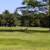 Rutgers University Golf Course gift card