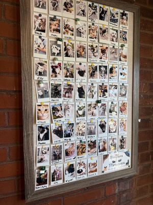 Maypop Coffee & Garden Shop by null