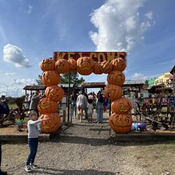 YesterLand Farm