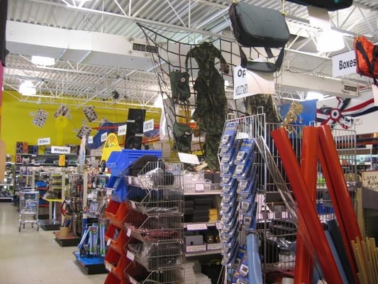 American Science & Surplus by null