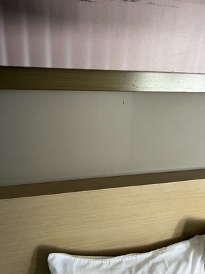 Hotel Napoleon Downtown Memphis, Memphis, TN by null