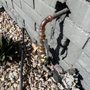 Photo of Tew’s Plumbing