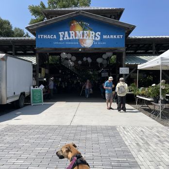 Ithaca Farmers' Market - Farmers Market Near Me - Ithaca, New York
