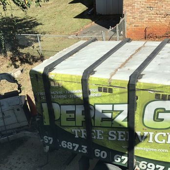 Perez G Tree Services - Perez G Tree Services - Tree Services Near Me Perez G Tree Services - Perez G Tree Services - Tree Services Near Me