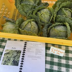 Teter Retreat and Organic Farm