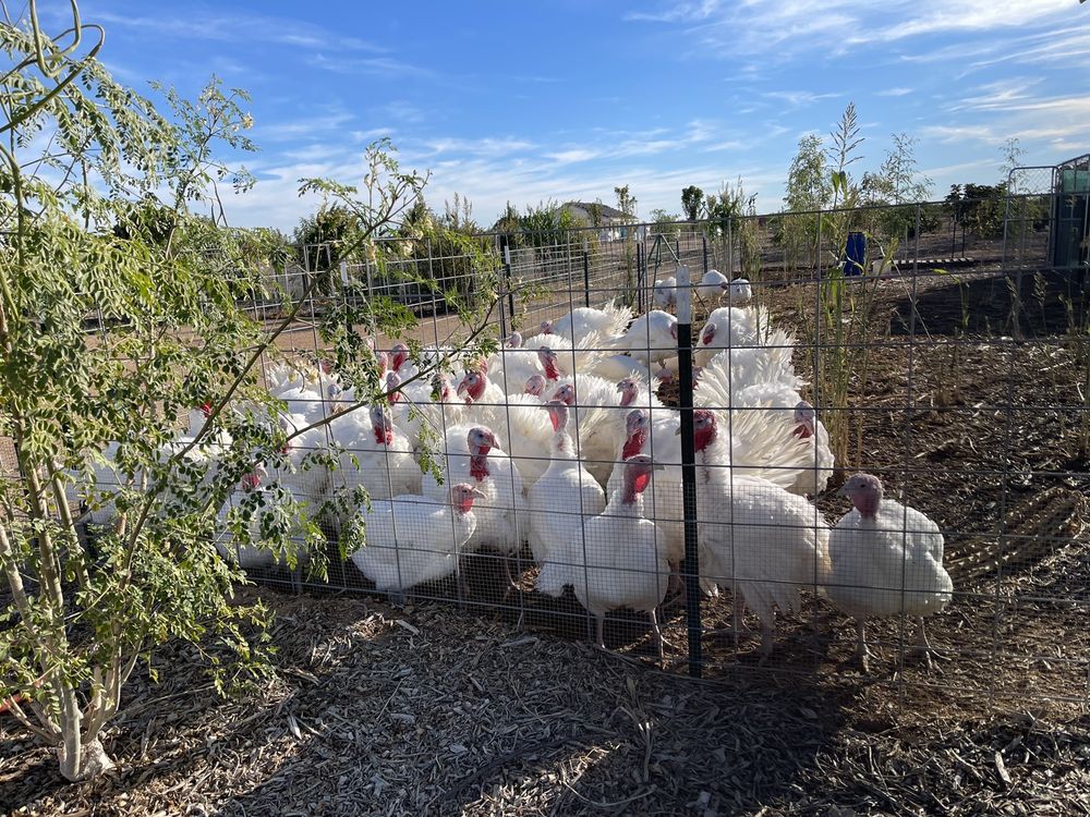 EDGE OF NOWHERE FARM Updated October 2024 12 Photos 24215 W