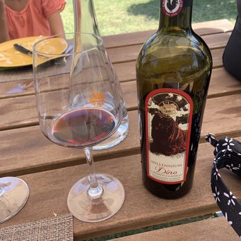 Podere La Marronaia - Chianti - Wine Tasting Room Near Me - San Gimignano, SI