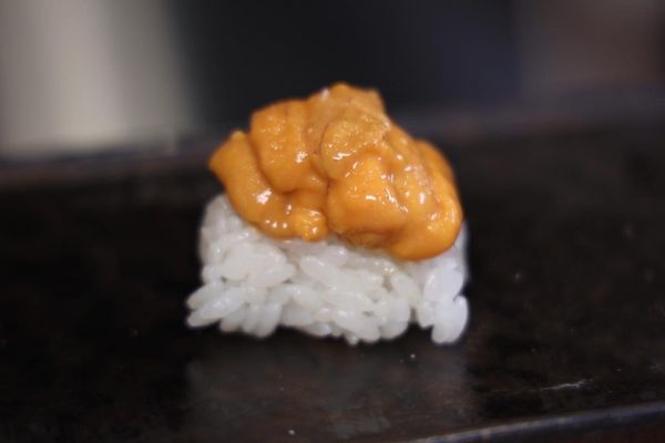 Omakase Experience Charlotte by null