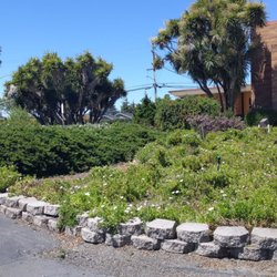 Temple Beth El