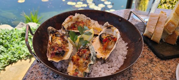 Salt & Stone by null