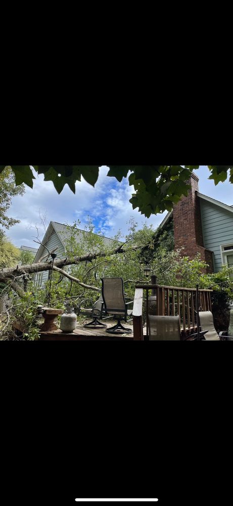 Slide of Restoration Solutions International