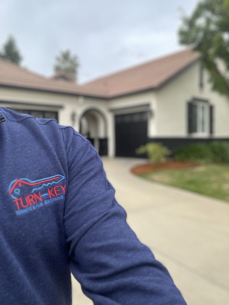 TURN KEY TERMITE & PEST SOLUTIONS Updated October 2024 43 Photos Lodi, California Pest