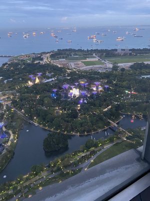 SkyPark Observation Deck by null