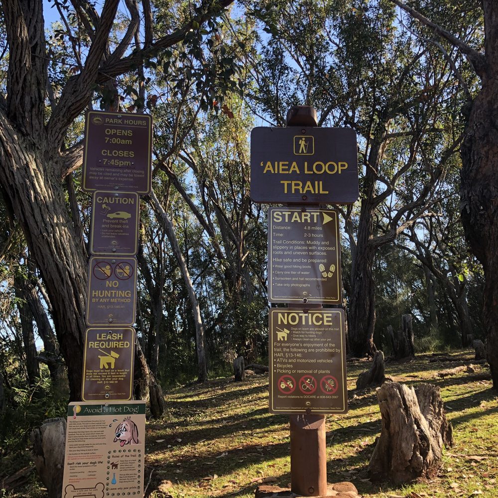 Aiea Loop Trail - Hiking Near Me - Aiea, Hawaii