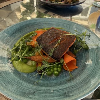 Hau Tree - King Salmon - Seafood Near Me - Honolulu, Hawaii