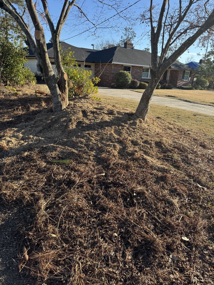 First Class Land Solutions - tree service in Augusta, GA