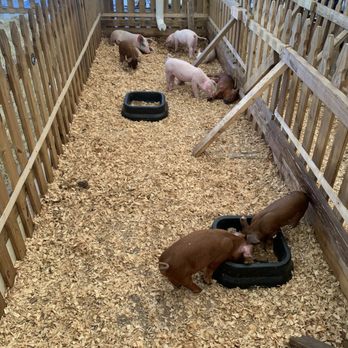 Miami-Dade County Fair & Exposition - Amusement Parks Near Me - Miami, Florida Miami-Dade County Fair & Exposition - Amusement Parks Near Me - Miami, Florida