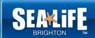 SEA LIFE Brighton by null
