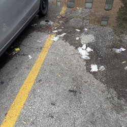 Family Dollar - Family dollars customers stepping out their car into fifth in family dollar parking lot