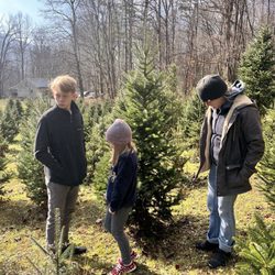 Fir Haven's Sake Christmas Tree Farm