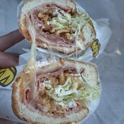 Which Wich & Paciugo Gelato Cafe - Regular Italian Grinder